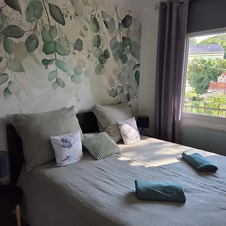 Széchenyi33 Apartamento